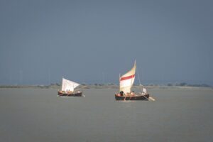Regatta Nod În Papură